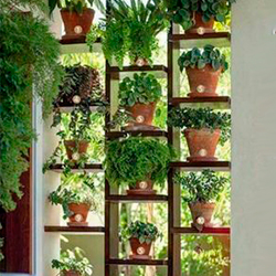 Полки-перегородок с цветами в горшках