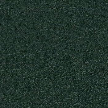 Экокожа Magic 12