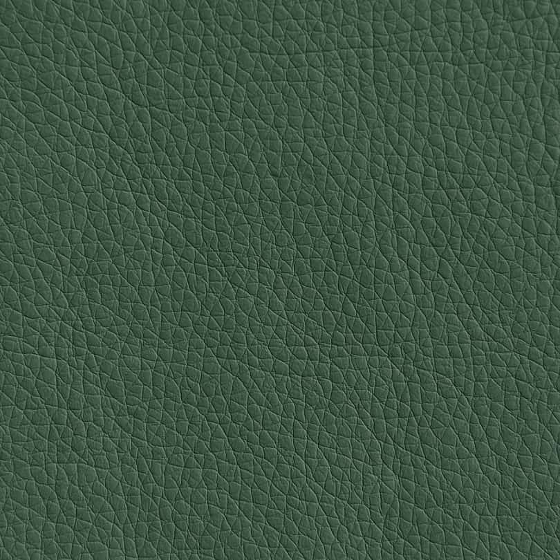 Искусственная кожа Oregon 01