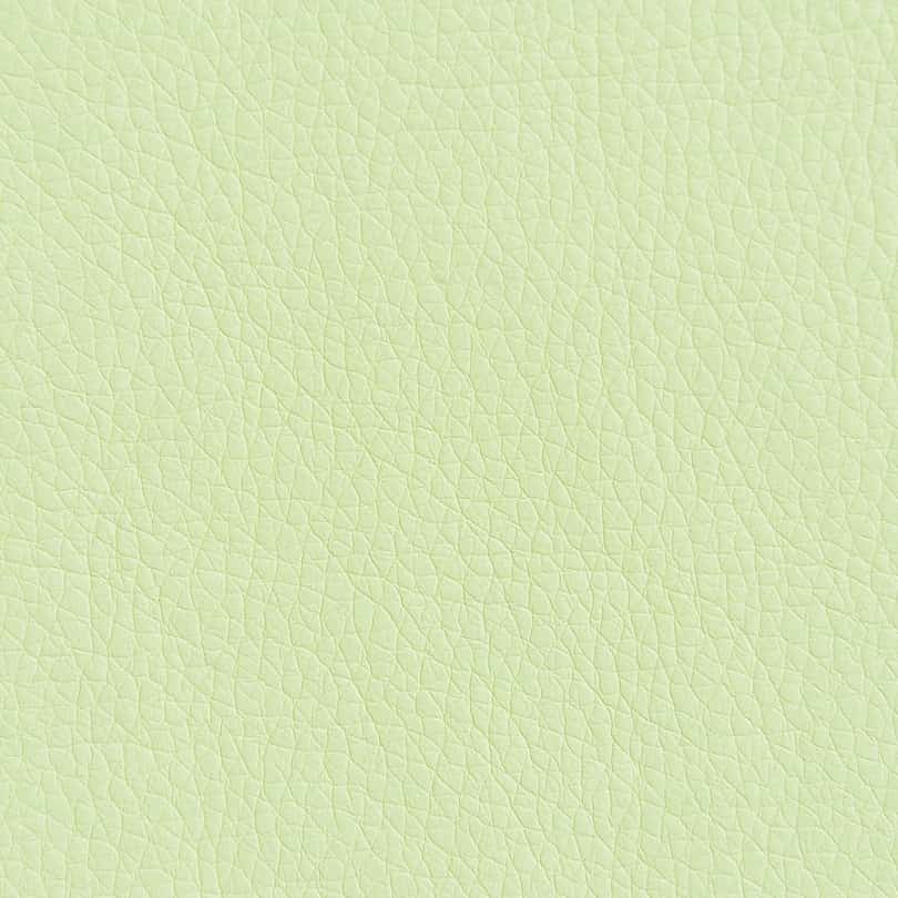 Искусственная кожа Oregon 04