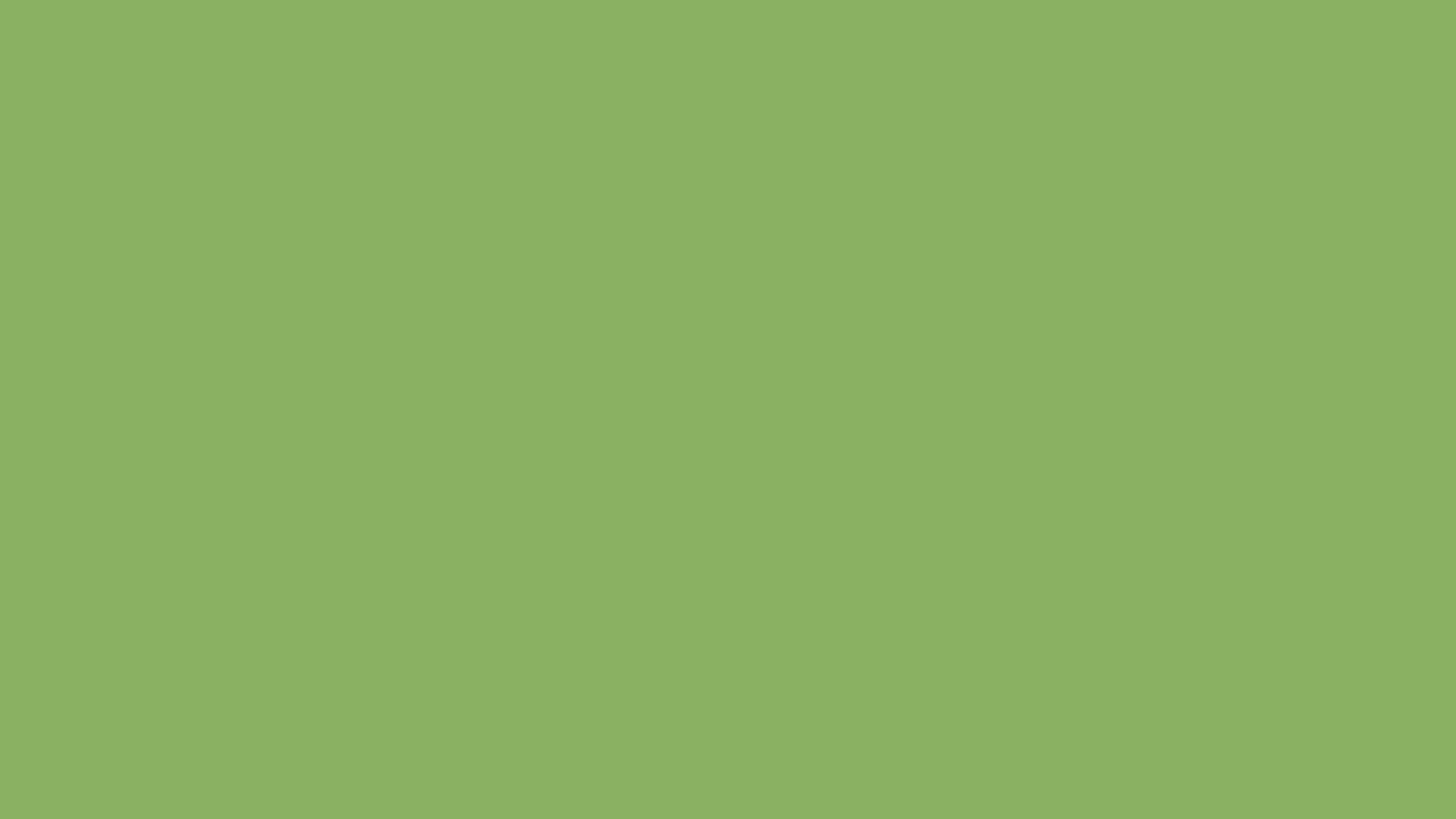 Светло-зеленый глянец BS 2169-55 цвет МДФ