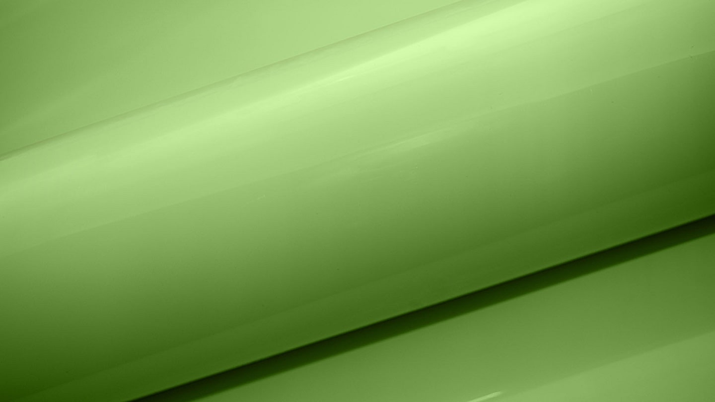 Светло-зеленый глянец BS 2169-55 фото текстуры