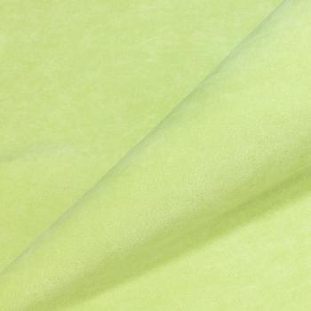 Велюр Teddy 818 нежно-салатового цвета