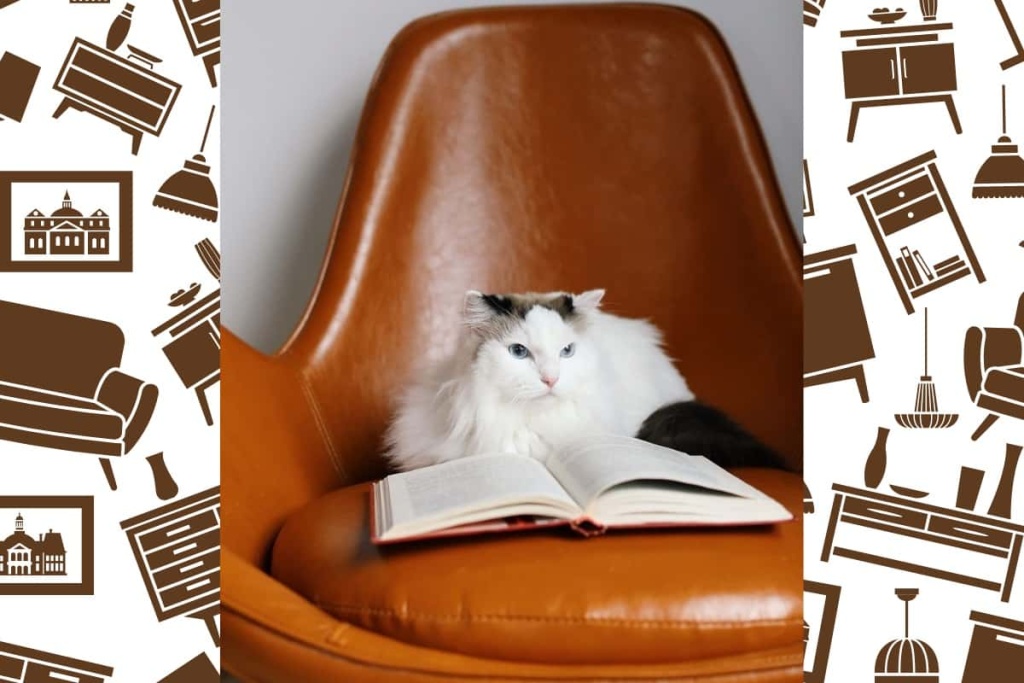 Коричневое кресло в экокоже Magic