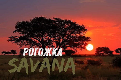 Рогожка Savana